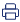 Print Icon
