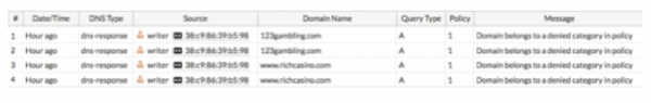 DNS Query