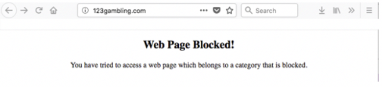 Web Page Blocked Message