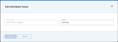 Edit Attribute Value Window