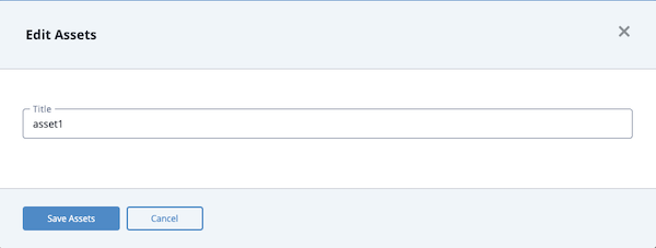 Edit Asset Dialog box