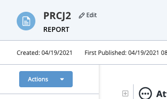 Report details page